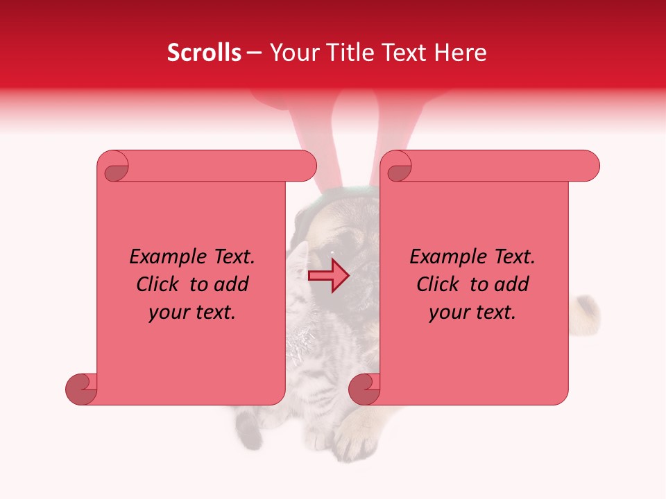 White Humorous Kitten PowerPoint Template