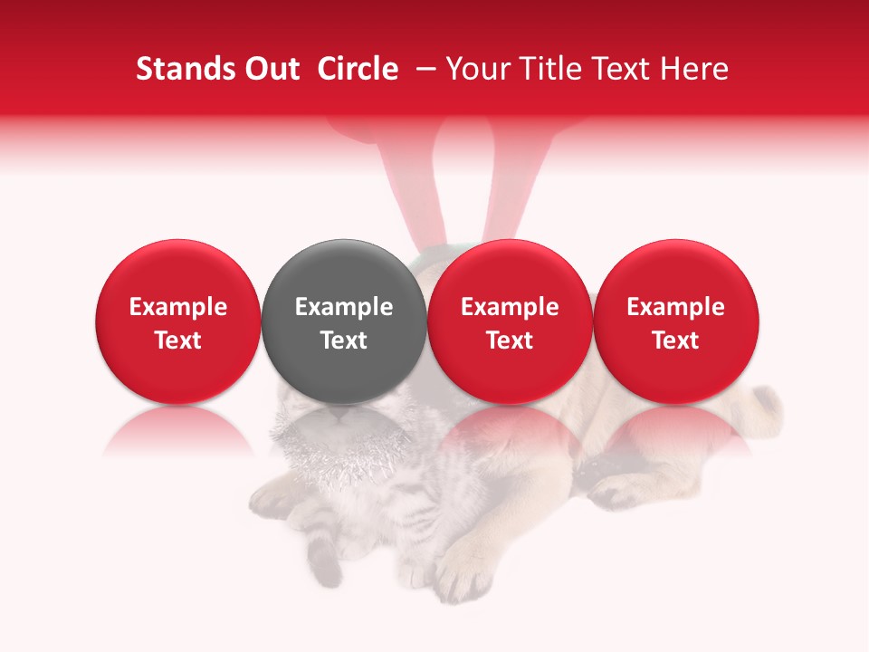 White Humorous Kitten PowerPoint Template