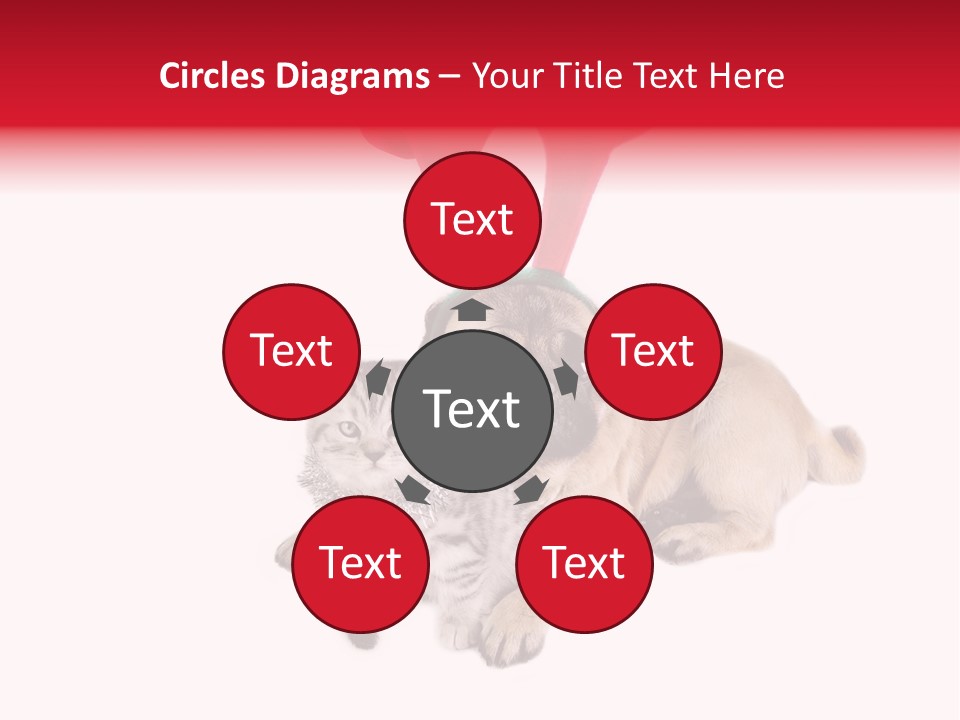 White Humorous Kitten PowerPoint Template