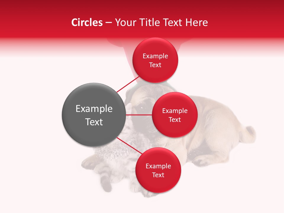 White Humorous Kitten PowerPoint Template