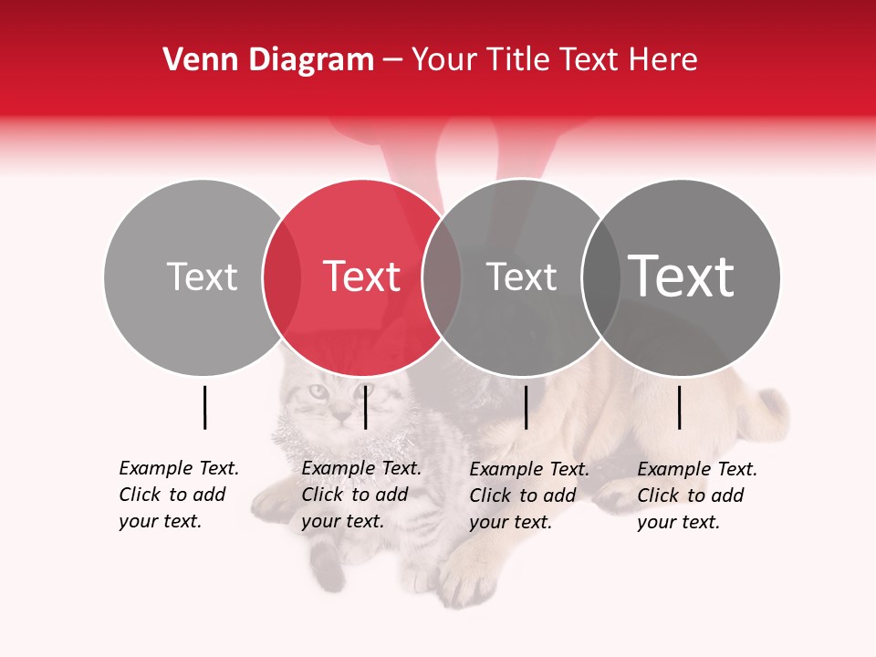 White Humorous Kitten PowerPoint Template