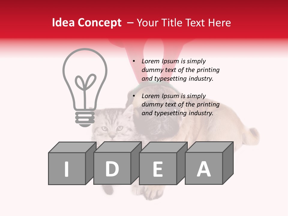 White Humorous Kitten PowerPoint Template