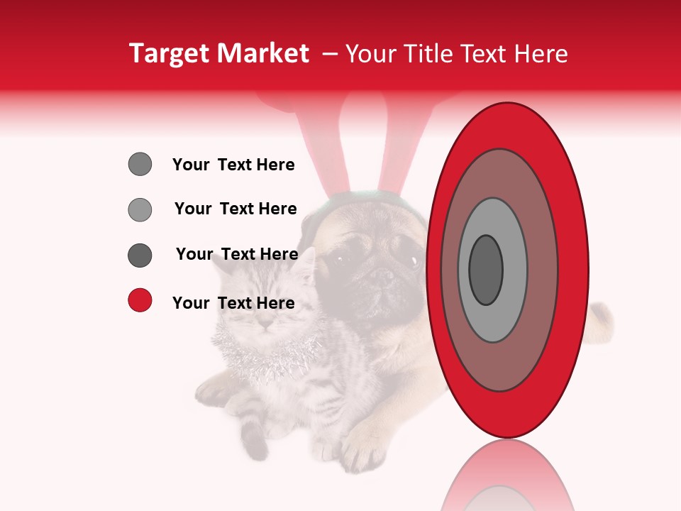 White Humorous Kitten PowerPoint Template