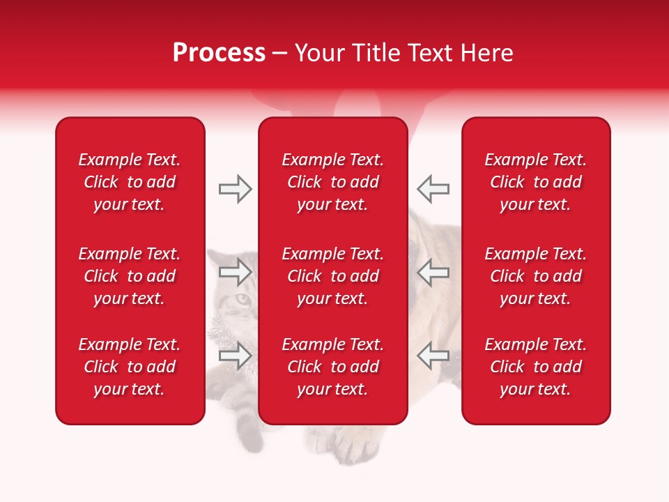 White Humorous Kitten PowerPoint Template