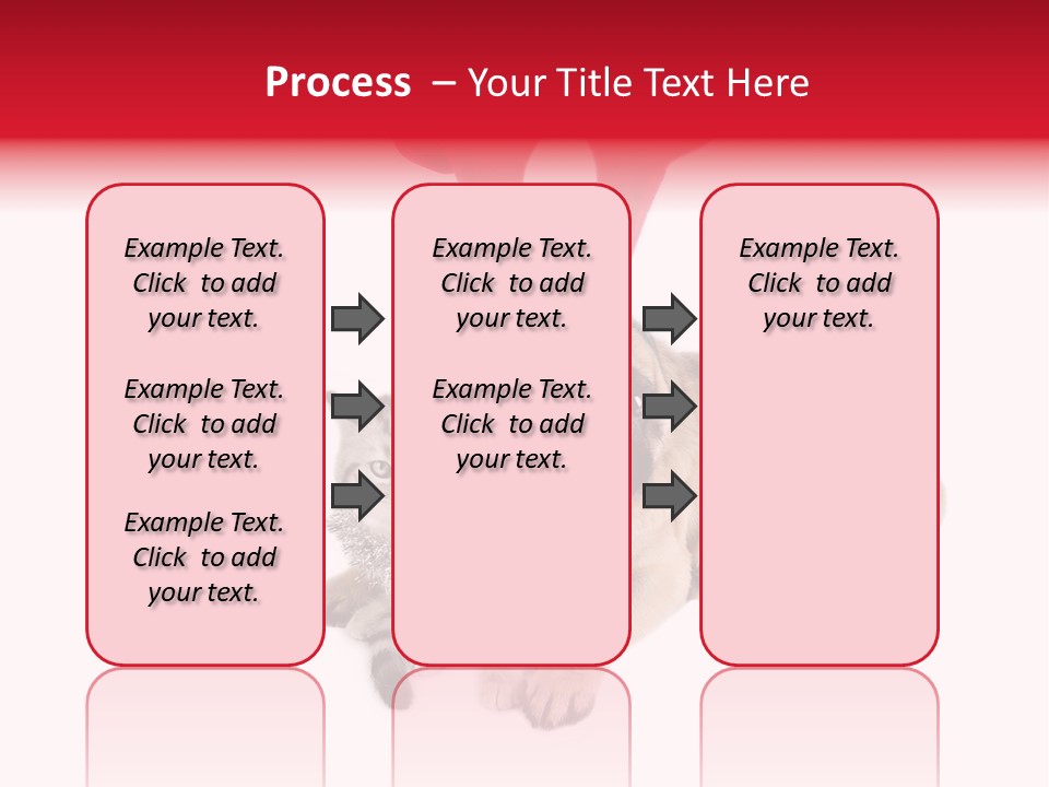 White Humorous Kitten PowerPoint Template