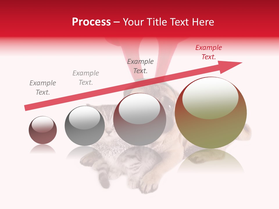 White Humorous Kitten PowerPoint Template