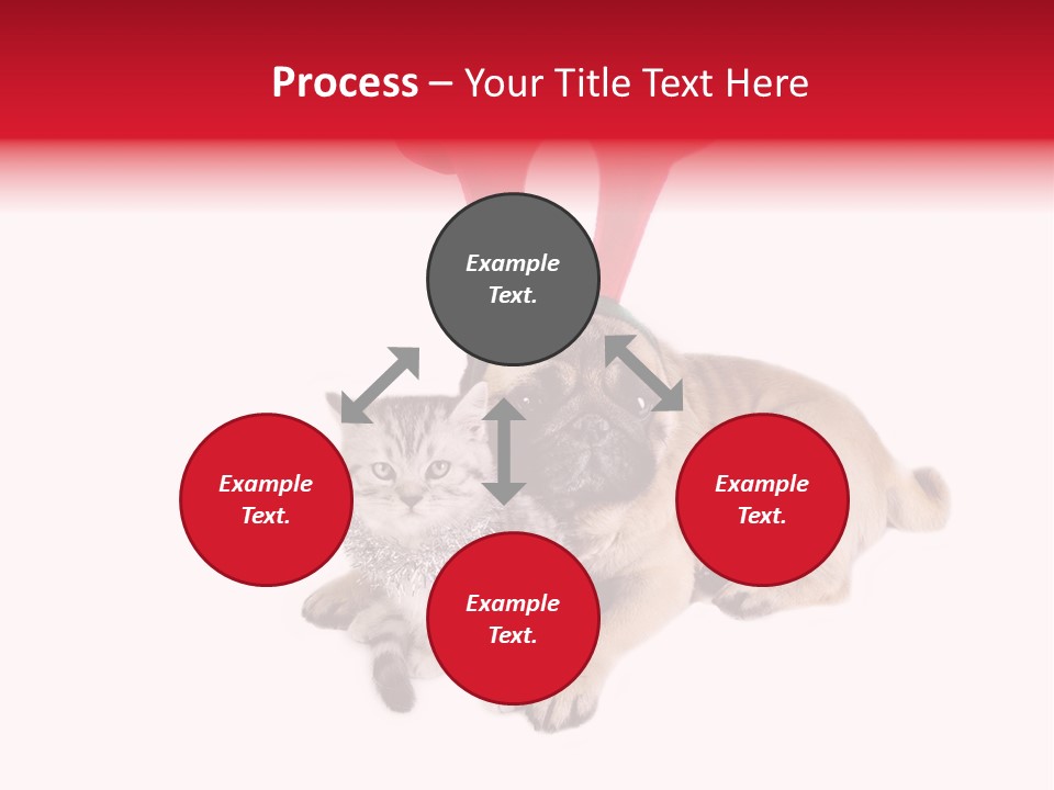 White Humorous Kitten PowerPoint Template