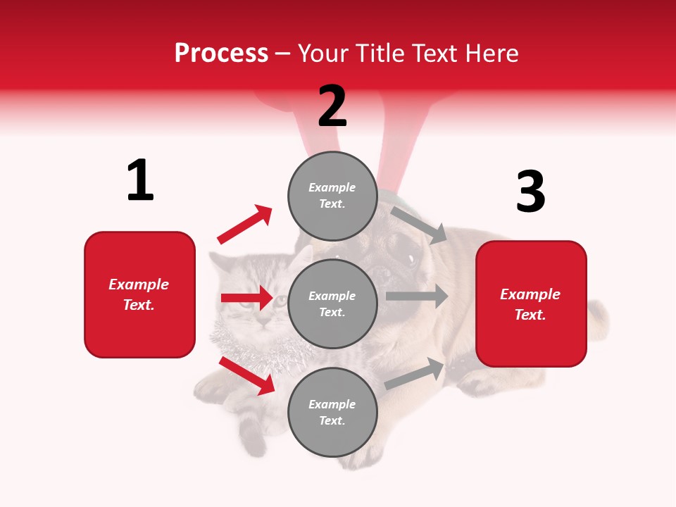 White Humorous Kitten PowerPoint Template