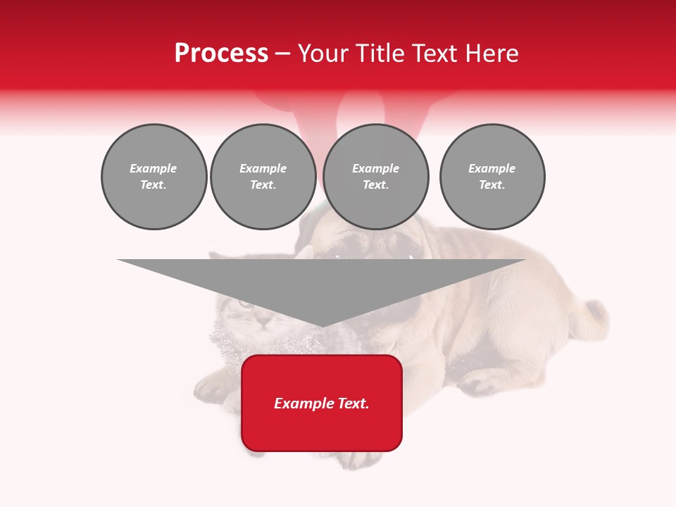 White Humorous Kitten PowerPoint Template