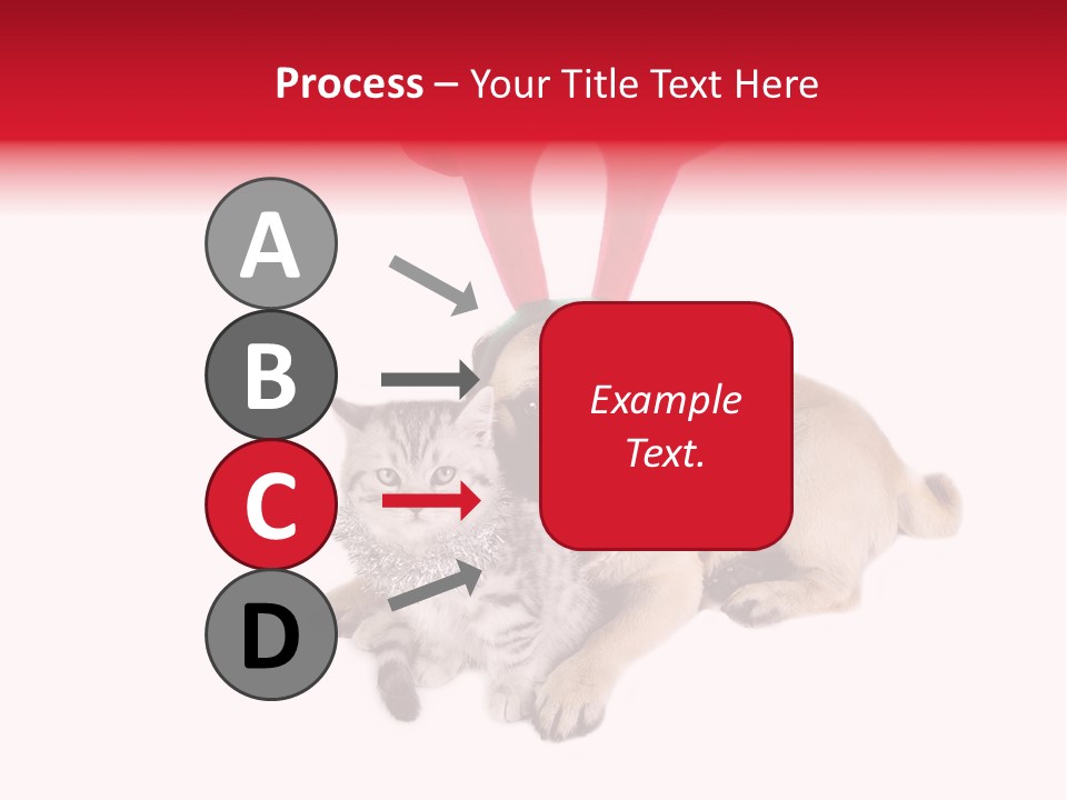 White Humorous Kitten PowerPoint Template