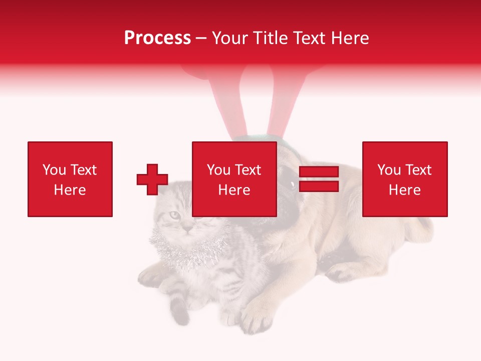 White Humorous Kitten PowerPoint Template