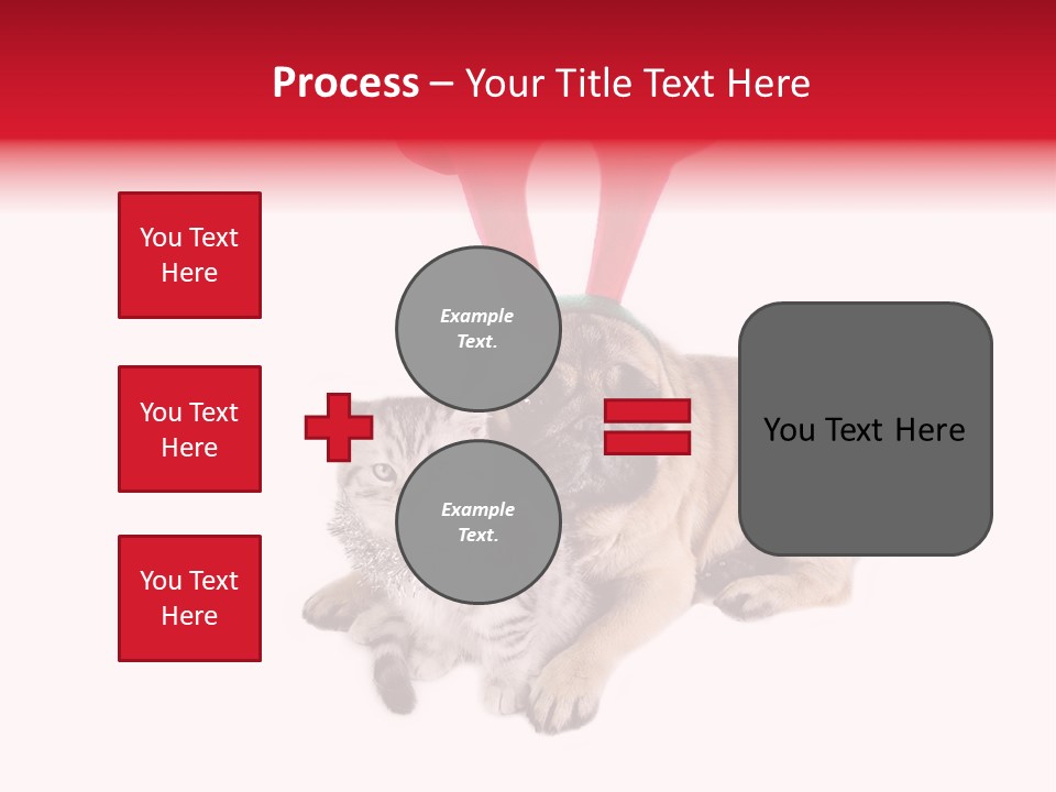 White Humorous Kitten PowerPoint Template