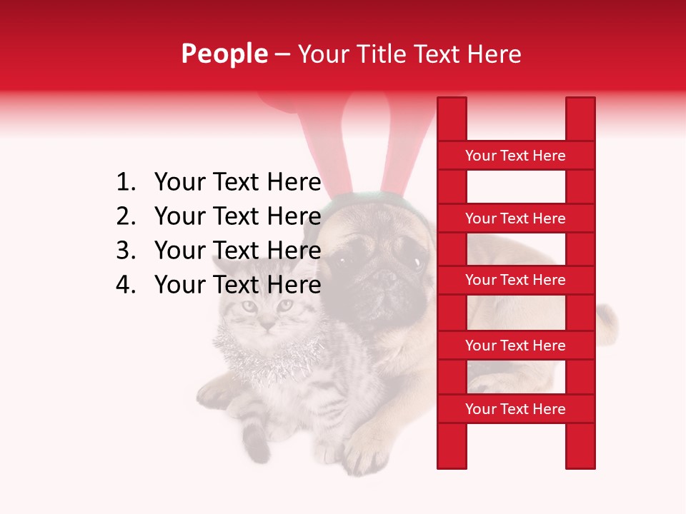 White Humorous Kitten PowerPoint Template