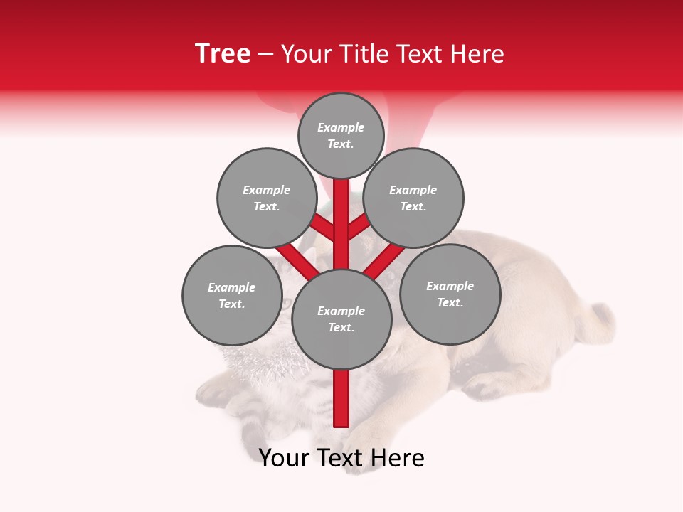 White Humorous Kitten PowerPoint Template