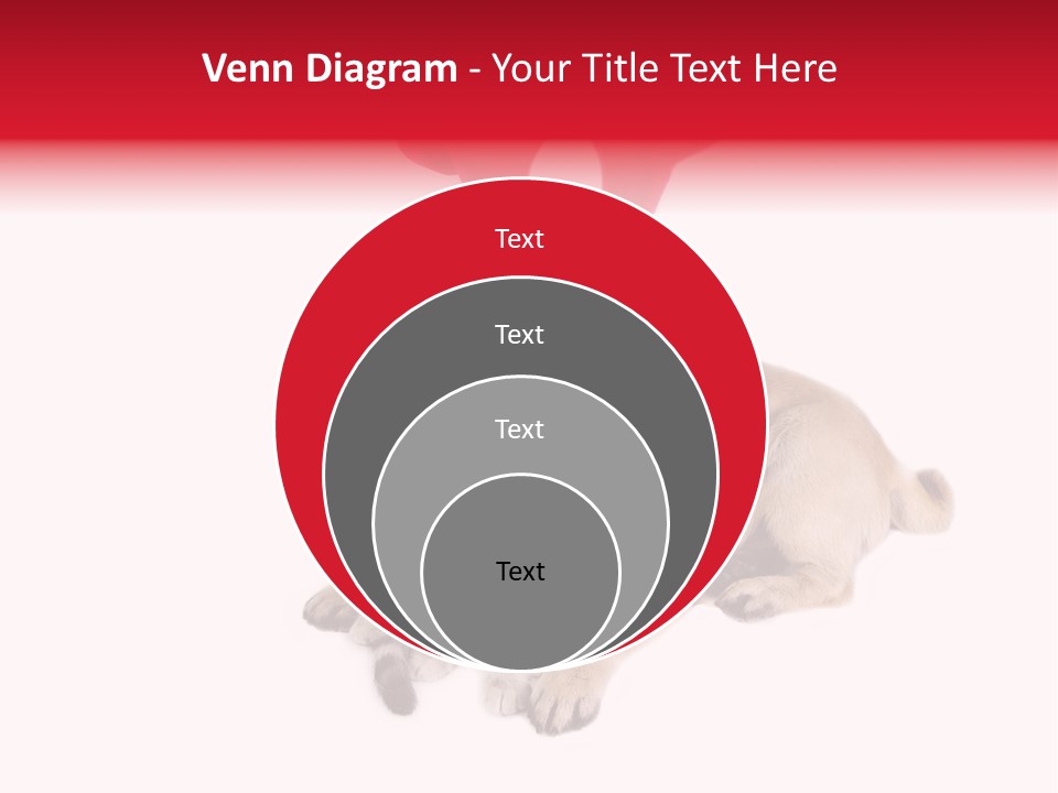 White Humorous Kitten PowerPoint Template