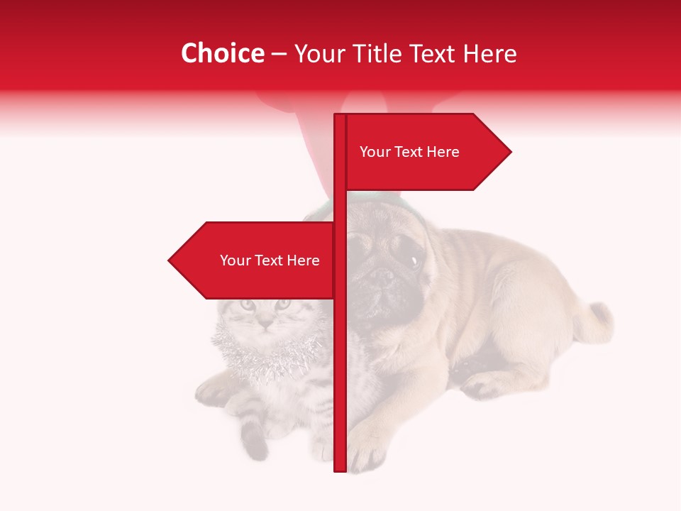 White Humorous Kitten PowerPoint Template