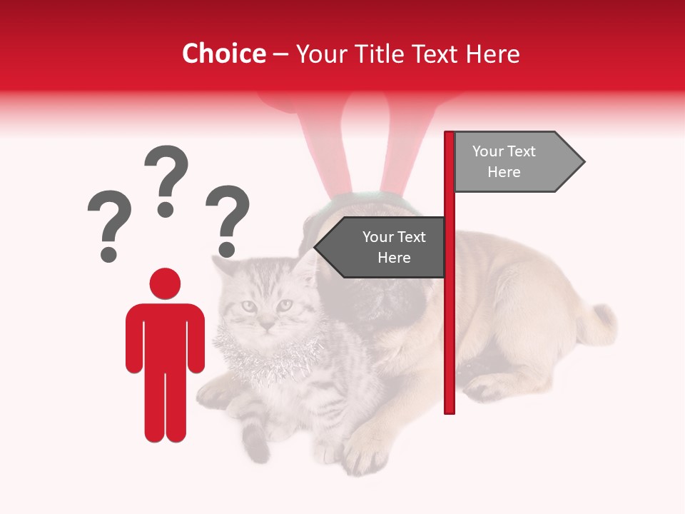 White Humorous Kitten PowerPoint Template