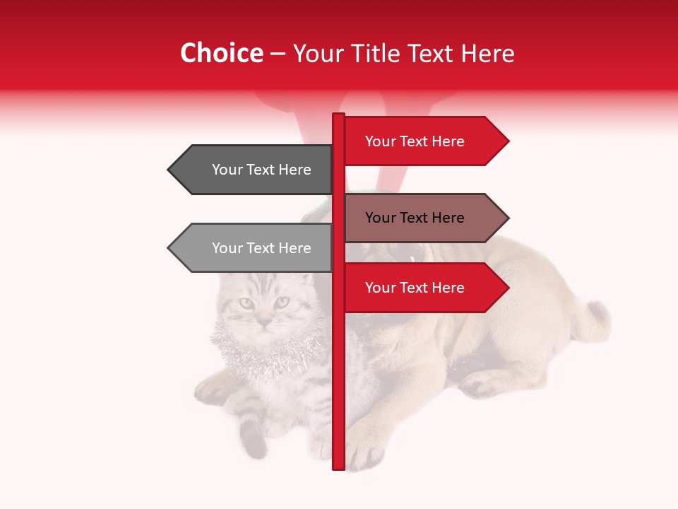 White Humorous Kitten PowerPoint Template