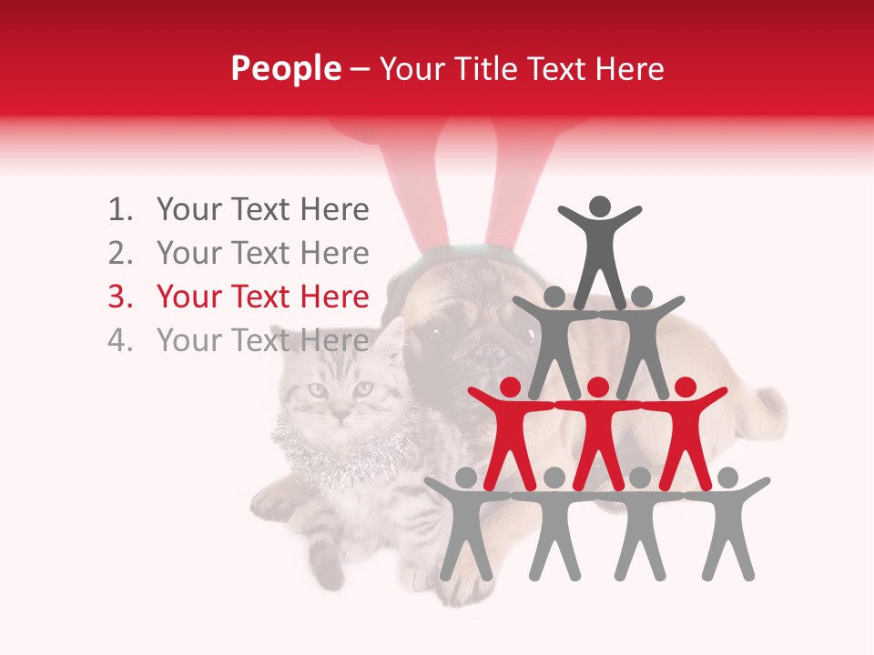 White Humorous Kitten PowerPoint Template