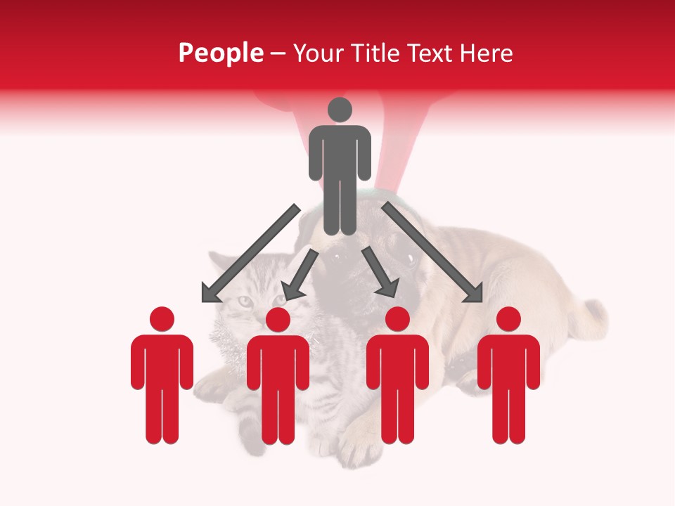 White Humorous Kitten PowerPoint Template