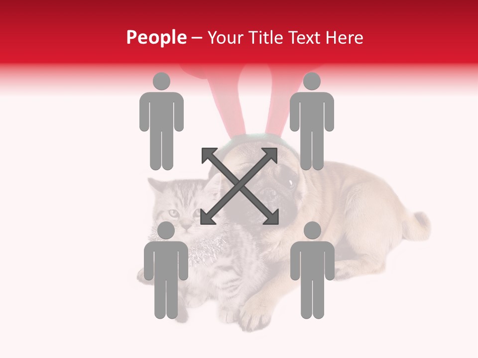 White Humorous Kitten PowerPoint Template
