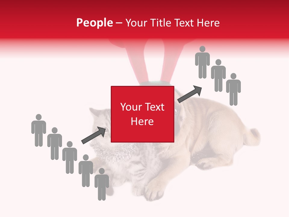 White Humorous Kitten PowerPoint Template
