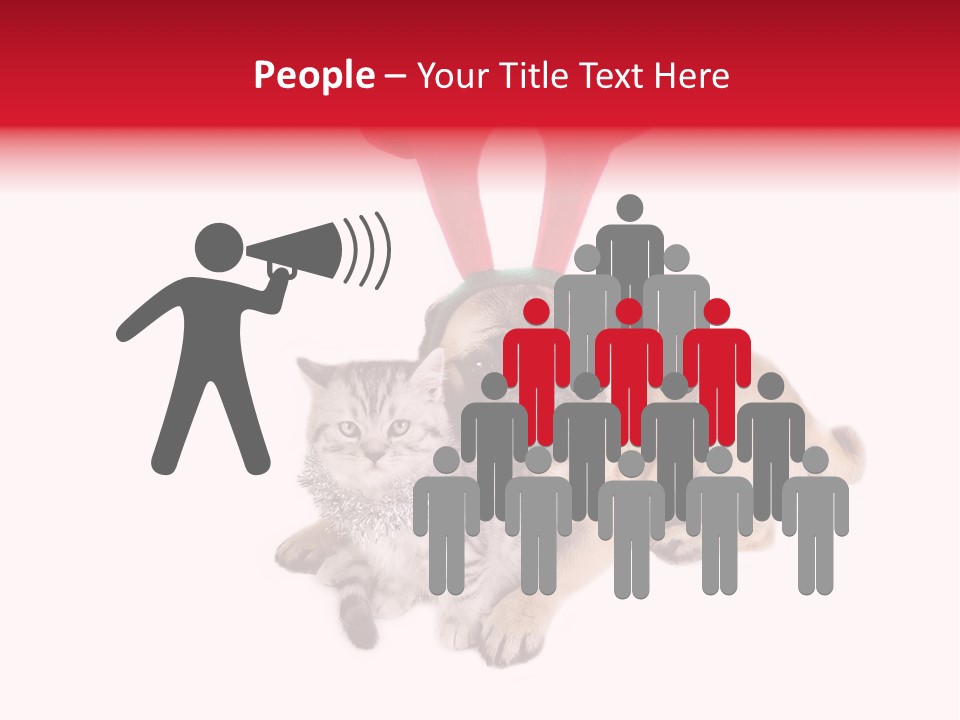 White Humorous Kitten PowerPoint Template