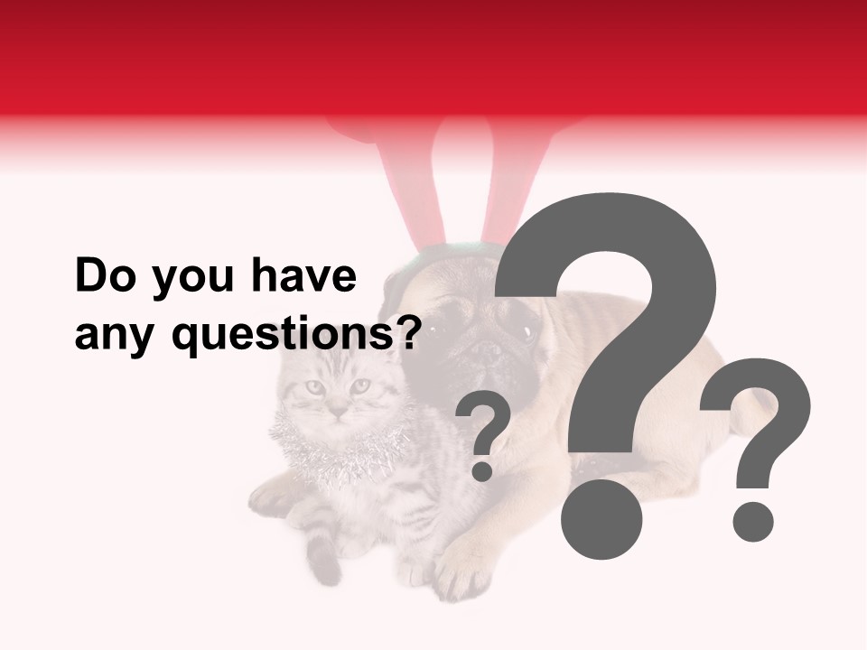 White Humorous Kitten PowerPoint Template