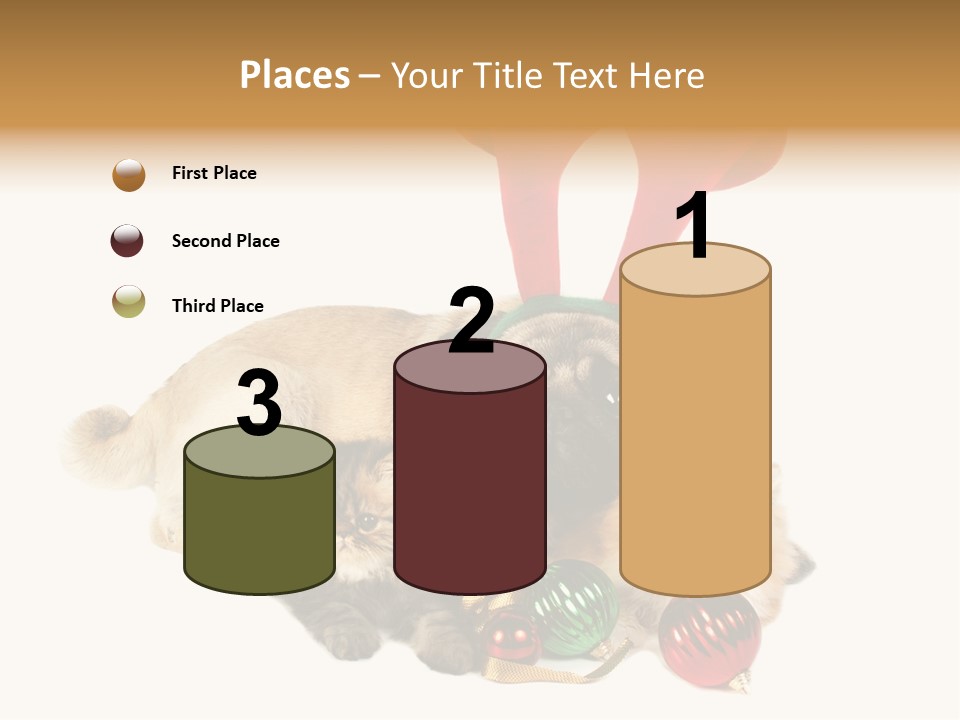 Pug Pet Purebred PowerPoint Template