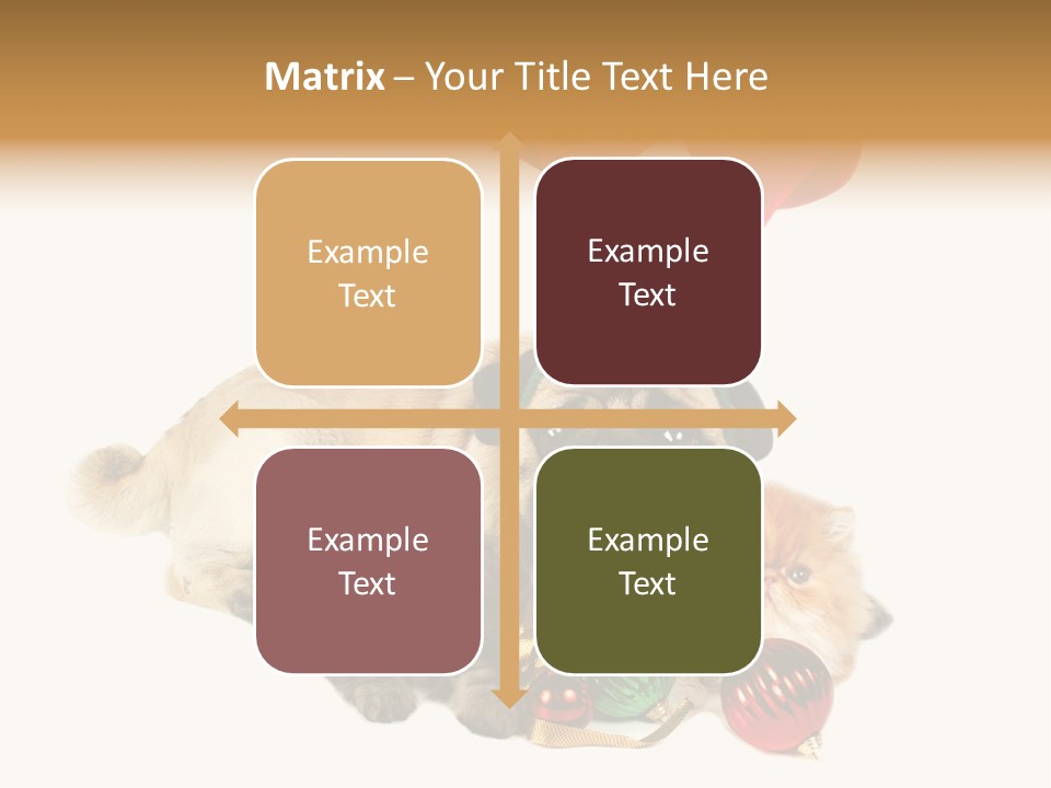 Pug Pet Purebred PowerPoint Template