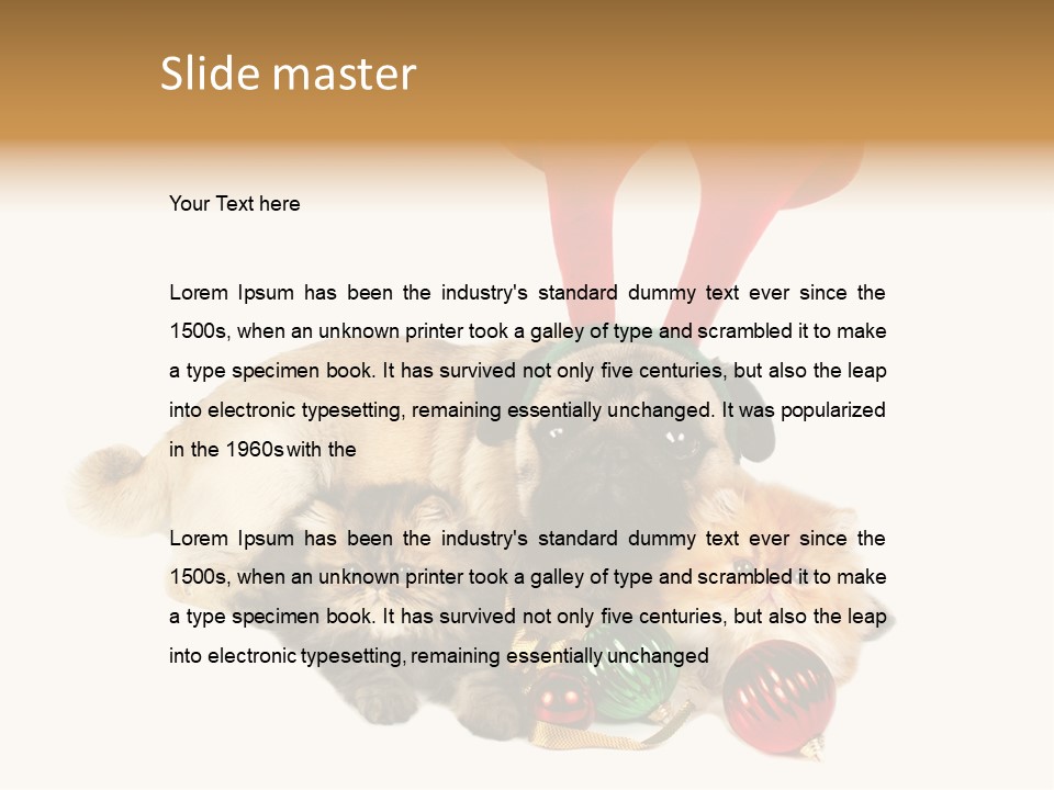 Pug Pet Purebred PowerPoint Template