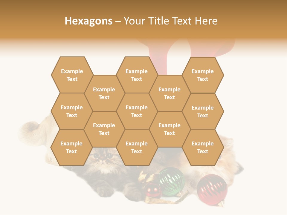 Pug Pet Purebred PowerPoint Template