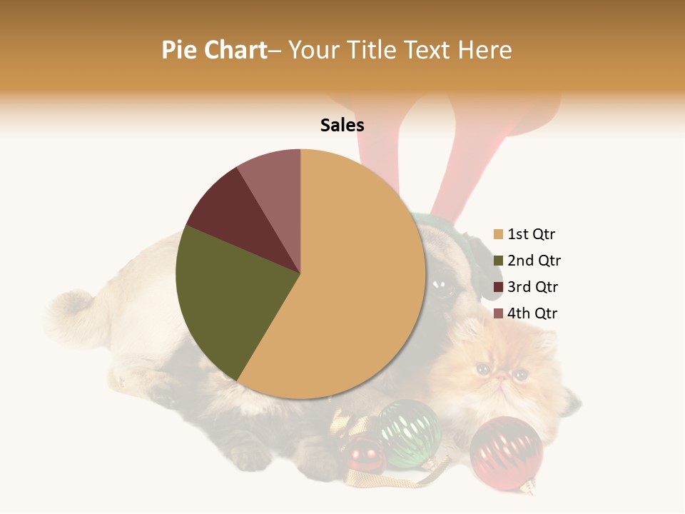 Pug Pet Purebred PowerPoint Template