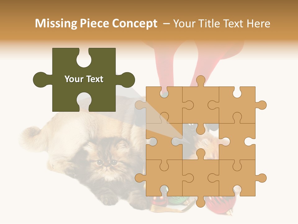 Pug Pet Purebred PowerPoint Template