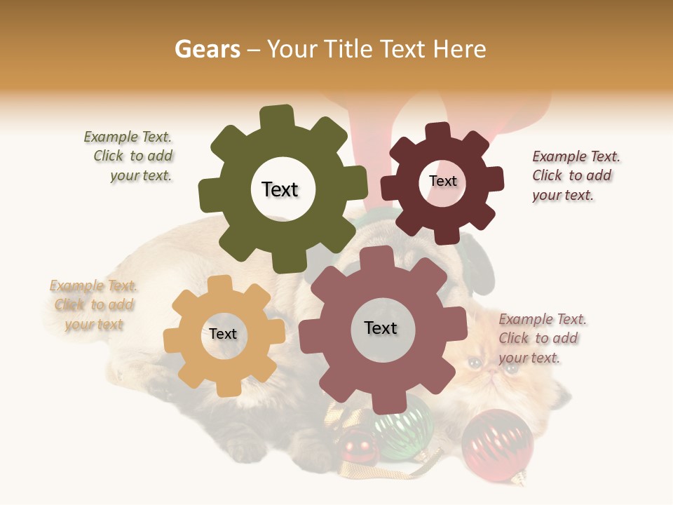 Pug Pet Purebred PowerPoint Template