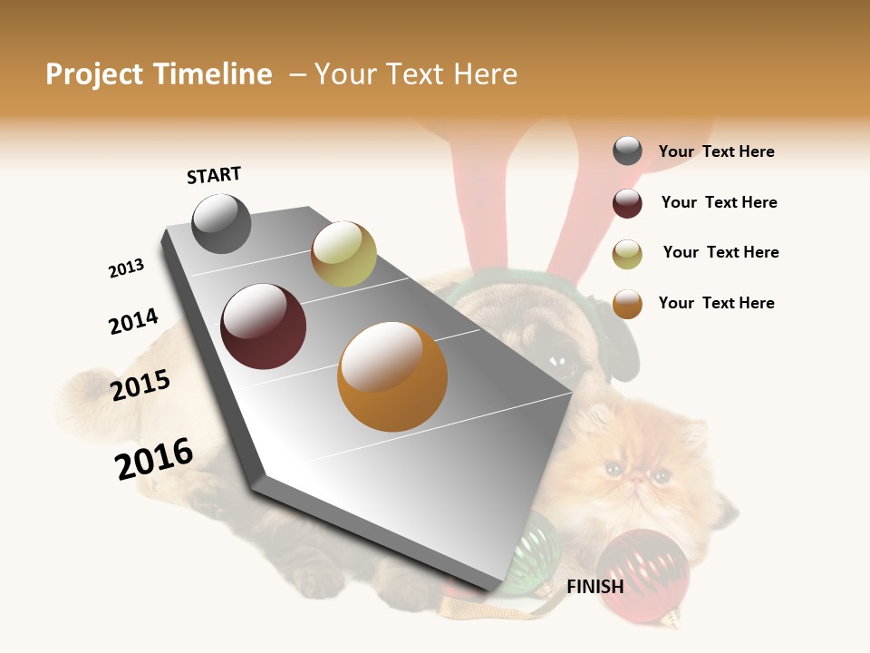 Pug Pet Purebred PowerPoint Template