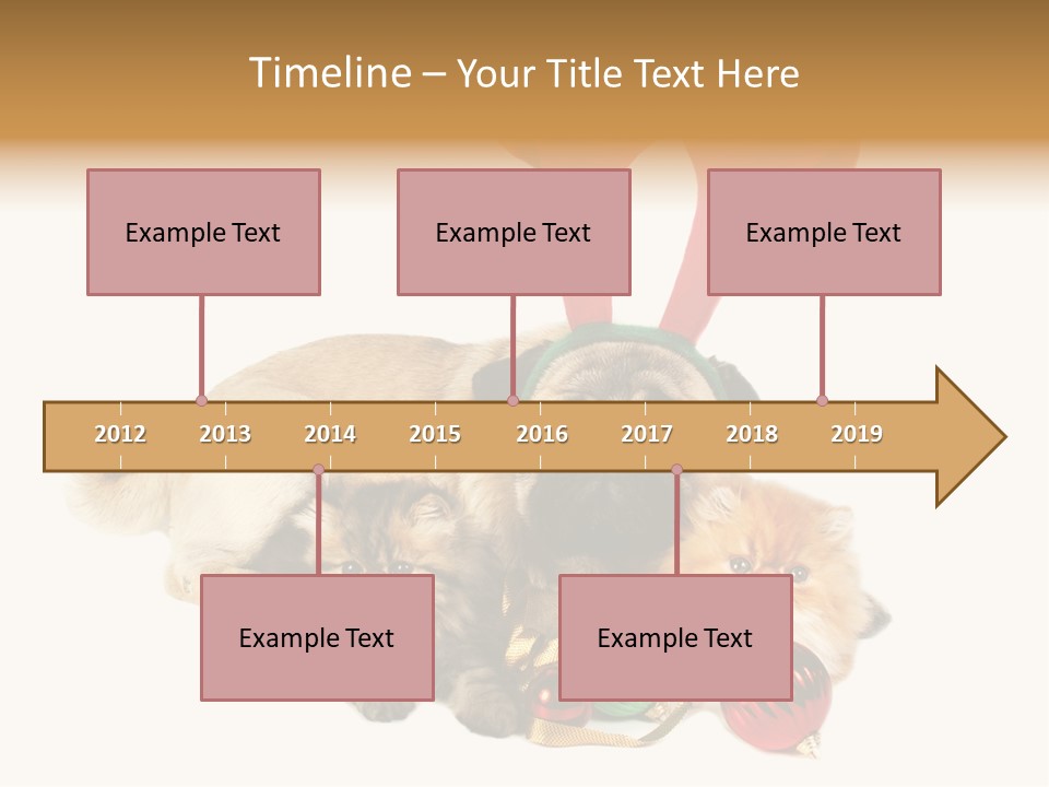Pug Pet Purebred PowerPoint Template