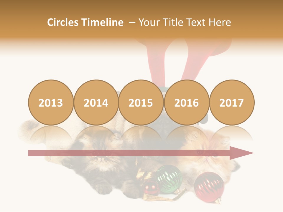 Pug Pet Purebred PowerPoint Template