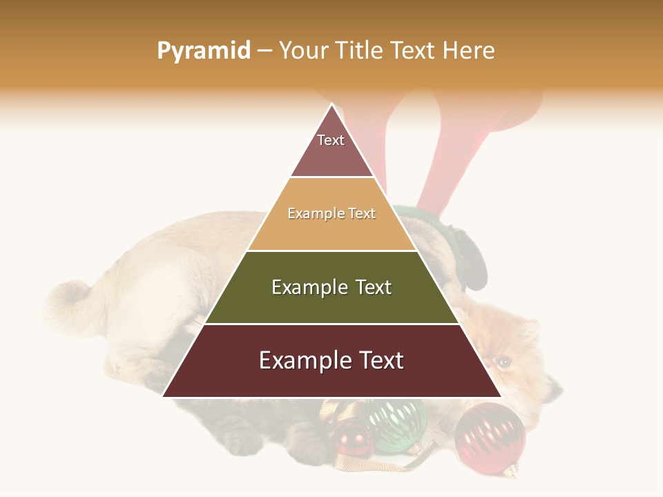 Pug Pet Purebred PowerPoint Template