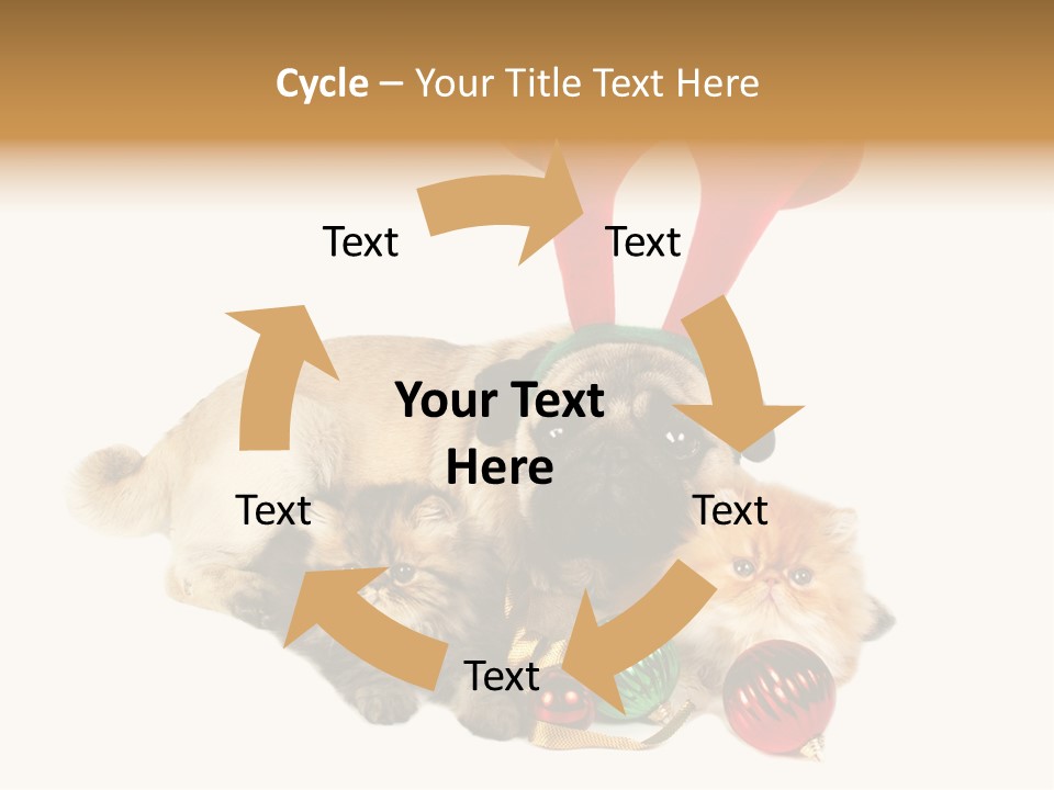 Pug Pet Purebred PowerPoint Template