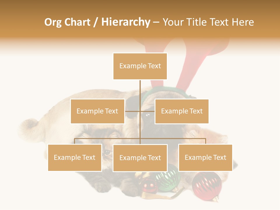 Pug Pet Purebred PowerPoint Template