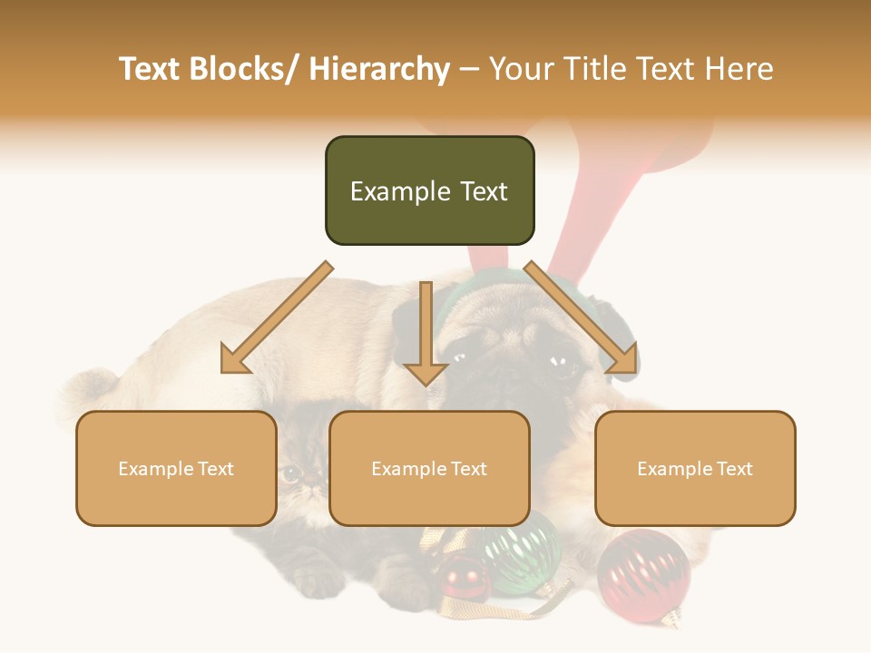 Pug Pet Purebred PowerPoint Template