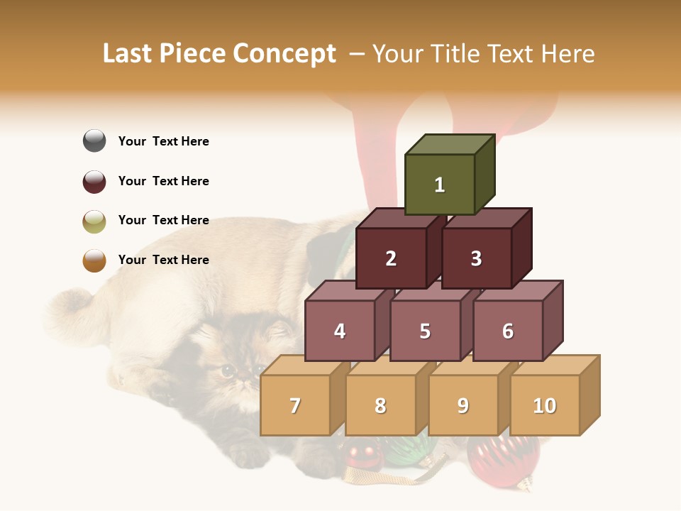 Pug Pet Purebred PowerPoint Template