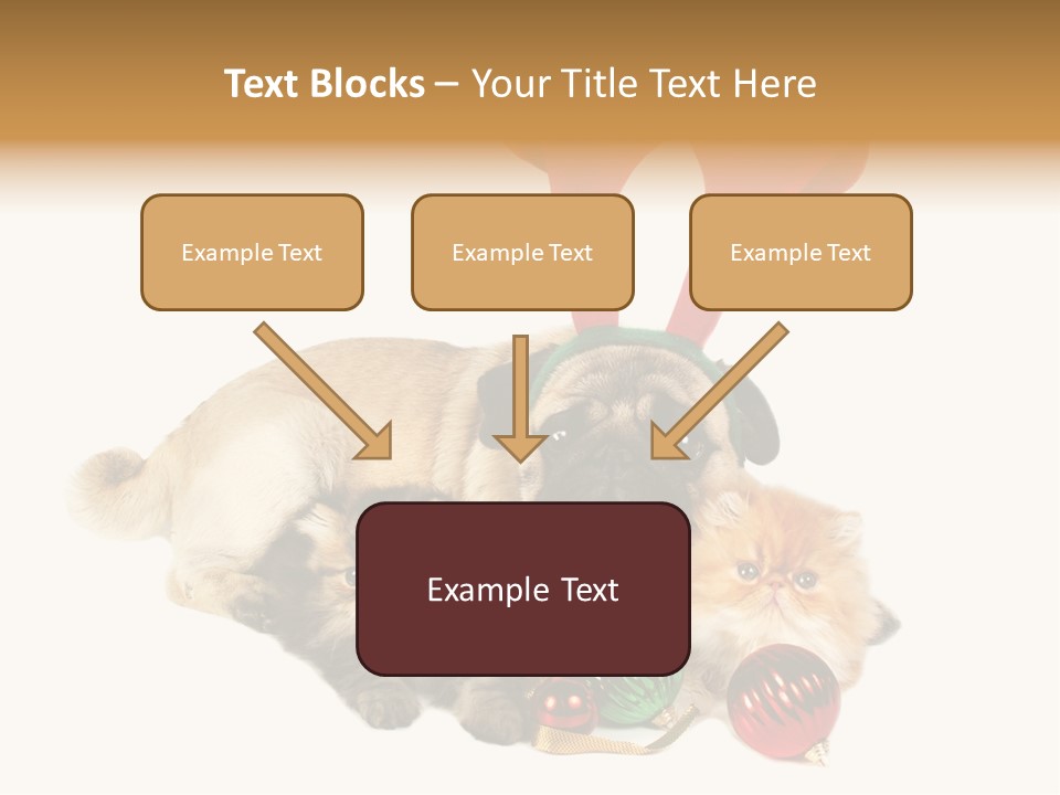 Pug Pet Purebred PowerPoint Template