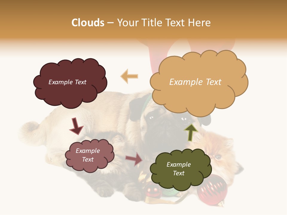 Pug Pet Purebred PowerPoint Template