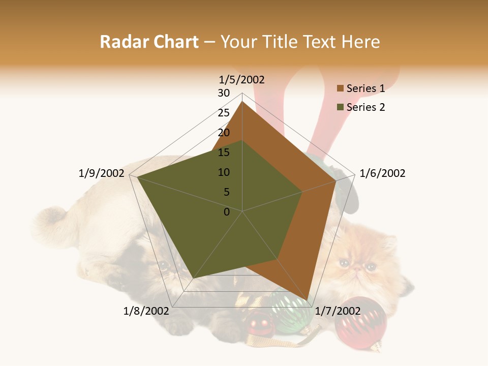 Pug Pet Purebred PowerPoint Template