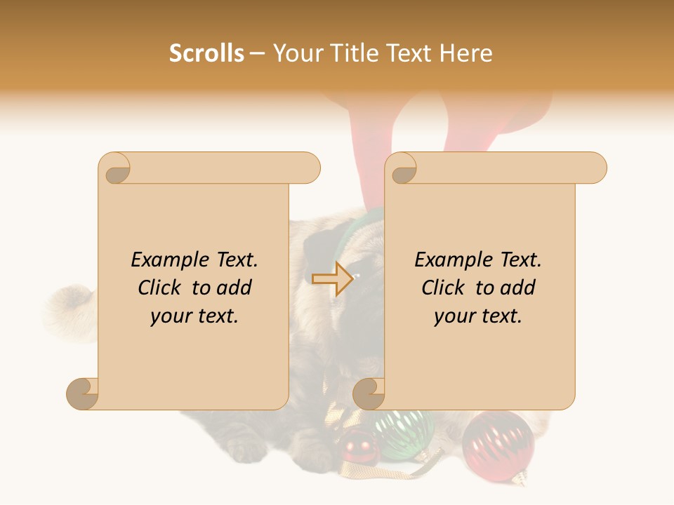 Pug Pet Purebred PowerPoint Template