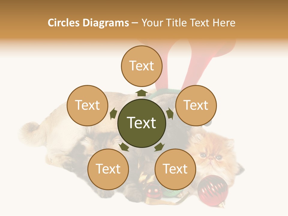 Pug Pet Purebred PowerPoint Template