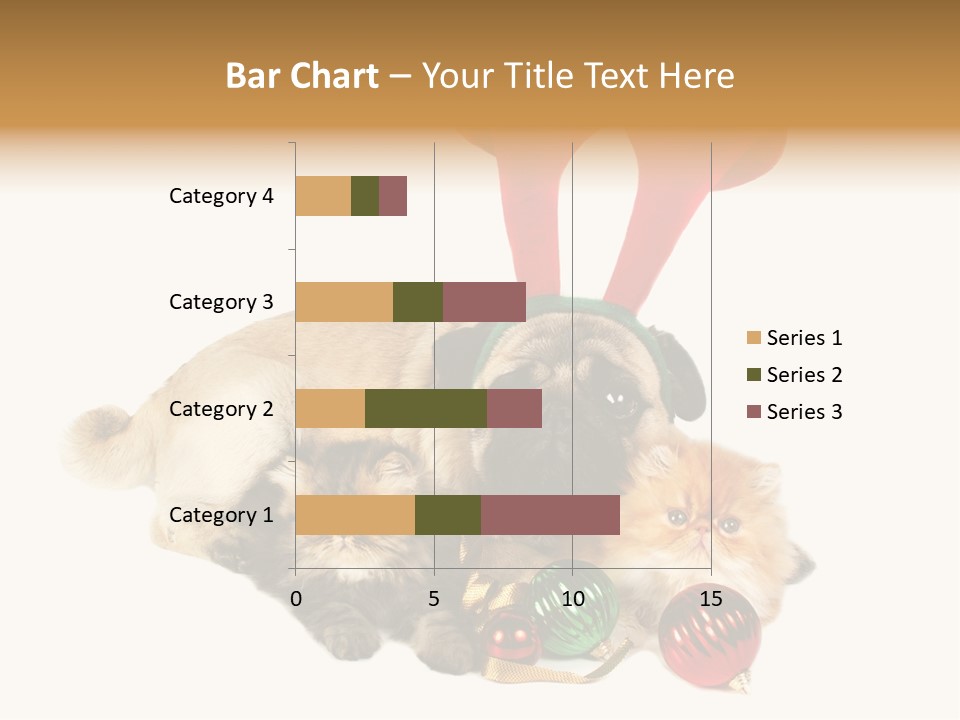 Pug Pet Purebred PowerPoint Template