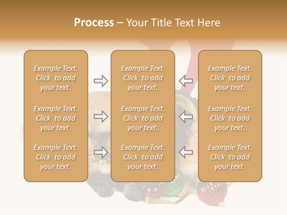 Pug Pet Purebred PowerPoint Template